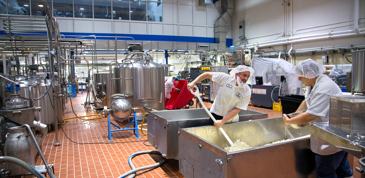 Food industry
